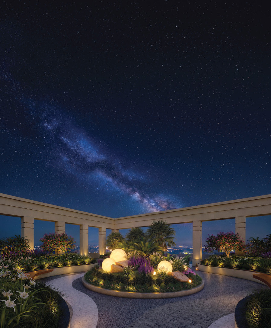 Landscaped courtyard garden under a starlit night sky